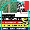 Jual Rumput Imitasi Legonkulon.jpg