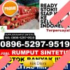 Penjual Rumput Sintetis Penrang.jpg