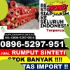 Distributor Rumput Palsu Sampoiniet.jpg