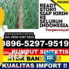 Distributor Rumput Sintetis Mendawai.jpg