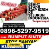 Penjual Rumput Sintetis Peureulak Barat.jpg