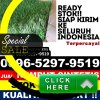 Grosir Rumput Palsu Kalis.jpg