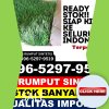 Jual Rumput Plastik Kajang.jpg