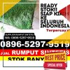 Agen Rumput Imitasi Kedung.jpg