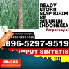 Distributor Rumput Sintetis Mestong.jpg