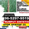 Jual Rumput Imitasi Liukang Tupabbiring.jpg