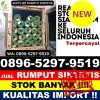 Grosir Rumput Sintetis Cijati.jpg