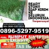 Grosir Rumput Palsu Kanor.jpg