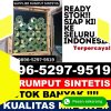 Penjual Rumput Imitasi Cibalong.jpg