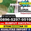 Agen Rumput Imitasi Kelumpang Hulu.jpg