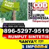 Distributor Rumput Sintetis Mojoanyar.jpg