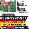 Jual Rumput Imitasi Lubuk Baja.jpg