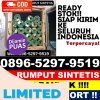 Grosir Rumput Sintetis Cilamaya Kulon.jpg