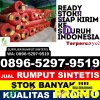 Distributor Rumput Palsu Selangit.jpg