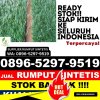 Agen Rumput Imitasi Kepulauan Joronga.jpg