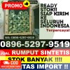 Penjual Rumput Imitasi Cikulur.jpg