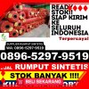 Penjual Rumput Sintetis Pulau Tiga.jpg