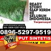 Jual Rumput Plastik Kasembon.jpg