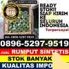 Penjual Rumput Imitasi Cimenyan.jpg