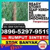 Agen Rumput Imitasi Koja.jpg