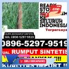 Jual Rumput Imitasi Mandrehe Utara.jpg