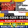 Penjual Rumput Palsu Sipahutar.jpg