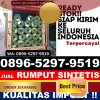 Penjual Rumput Imitasi Cisarua.jpg