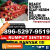 Distributor Rumput Sintetis Ngantang.jpg