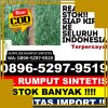 Agen Rumput Imitasi Kota Bontang.jpg