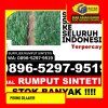 Jual Rumput Imitasi Manyak Payed.jpg