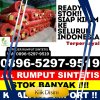 Penjual Rumput Sintetis Rambah Samo.jpg