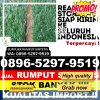 Grosir Rumput Palsu Kembangan.jpg