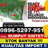 Jual Rumput Plastik Kedungwuni.jpg