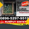 Penjual Rumput Imitasi Dabun Gelang.jpg