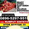 Distributor Rumput Sintetis Noyan.jpg