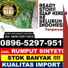 Agen Rumput Plastik Enok.jpg