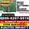 Grosir Rumput Palsu Kerjo.jpg