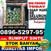 Gudang Rumput Palsu Aek Kuo.jpg