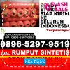 Penjual Rumput Palsu Subi.jpg