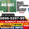 Agen Rumput Imitasi Kota Subulussalam.jpg