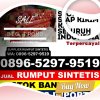 Penjual Rumput Sintetis Renah Pamenang.jpg