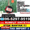 Jual Rumput Plastik Kersana.jpg