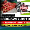 Distributor Rumput Sintetis Pagai Utara.jpg