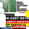 Jual Rumput Imitasi Mempawah Hilir.jpg