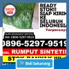 Grosir Rumput Sintetis Gamping.jpg