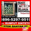 Gudang Rumput Palsu Antang Kalang.jpg