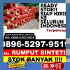 Distributor Rumput Sintetis Pakis.jpg