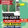 Jual Rumput Imitasi Mergangsan.jpg