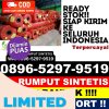 Penjual Rumput Sintetis Salak.jpg