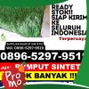 Agen Rumput Plastik Gisting.jpg